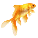 vivifish