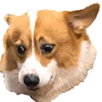 ConcernCorgi