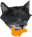 catthonk