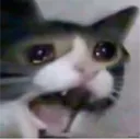 aaa