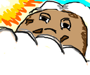 Cookie