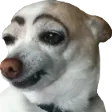 casTBH