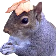 casThink