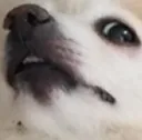CosmoWhat