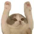 chocoHYPERS