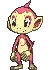chimcharshiny