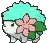 shayminlandshiny shayminlandshiny