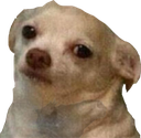 LcoNmms Discord emoji
