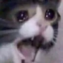 REEEEE
