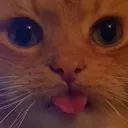 Covenblep Covenblep