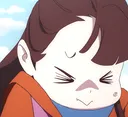 notlikeakko