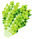 lettuce lettuce