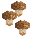 mushrooms mushrooms
