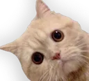 pls