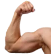 flexLeft