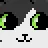 purphStare