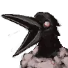 CAW CAW
