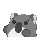 akoalaattention akoalaattention