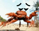 pensivecrabrave