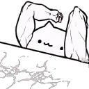 bongostrong bongostrong
