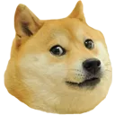 okayretard