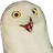 OwOwhatthis