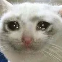 CatCry