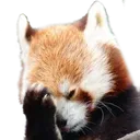 KilianFacepalm KilianFacepalm