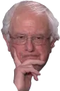 berniethink Discord Emoji