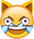 Madjoy Discord Emoji