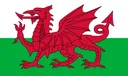 flag_wa