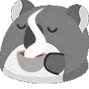 akoalacoffee akoalacoffee