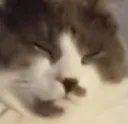 isleep