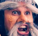 trappwizard trappwizard