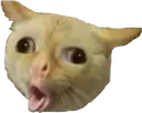SamCough