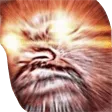 hggWoke