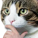 hmm2