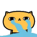 acatcry acatcry