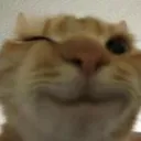 winkungus