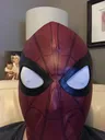 spiderdan spiderdan