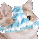 catPantsu