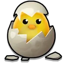 chick chick