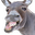 donkey Discord emoji