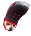 :croc: Discord Emote