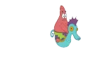 apatrickhorseride
