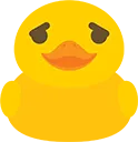 zsorryduck zsorryduck