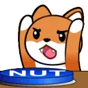 Nut