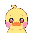 duckyWave