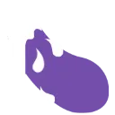 nut nut