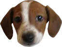 LilZ LilZ